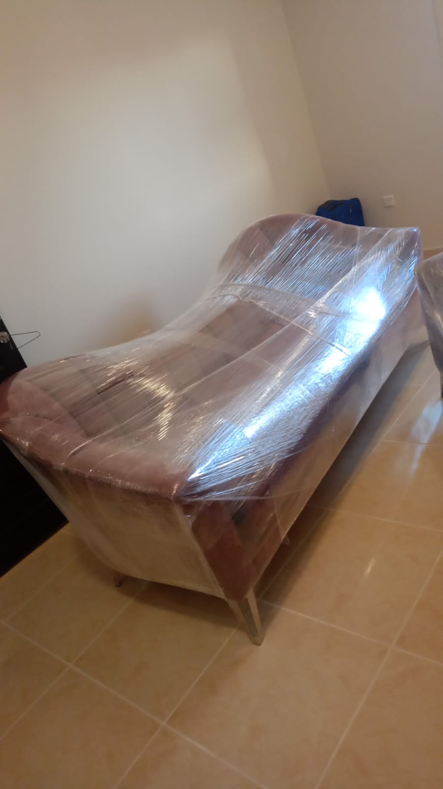 تغليف احترافي